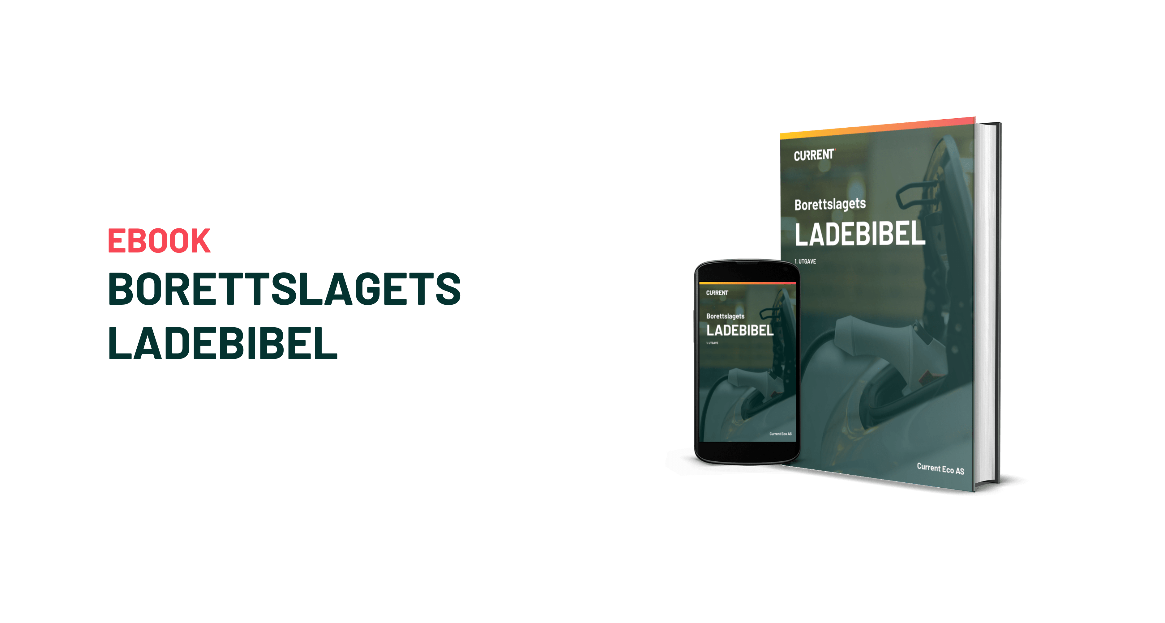 Borettslagets ladebibel